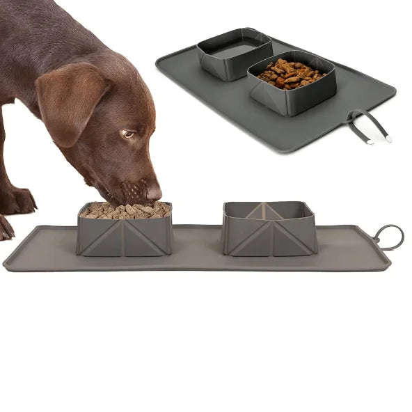 Furvéra™ Pet Travel Set